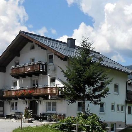 Ferienhaus Dankl Hollersbach im Pinzgau Zewnętrze zdjęcie