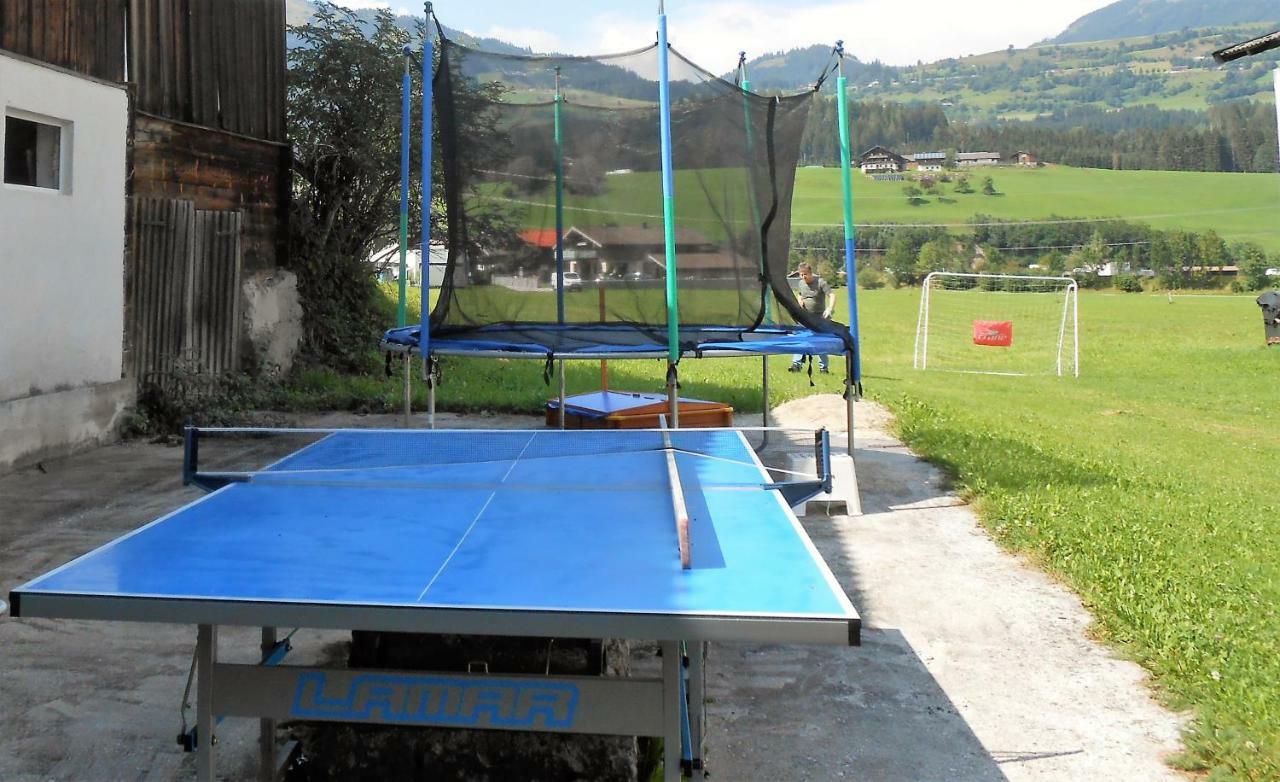 Ferienhaus Dankl Hollersbach im Pinzgau Zewnętrze zdjęcie