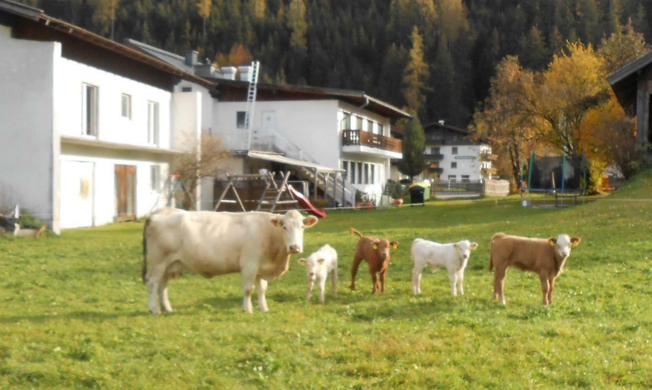Ferienhaus Dankl Hollersbach im Pinzgau Zewnętrze zdjęcie